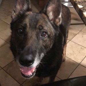 Meet your Posher, Allison